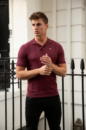 Blakely Finsbury Polo Shirt Bordowe | 863510-TMU