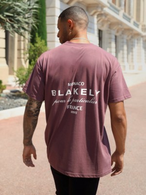 Blakely Monaco Relaxed T-Shirt Bordowe | 265843-MKD