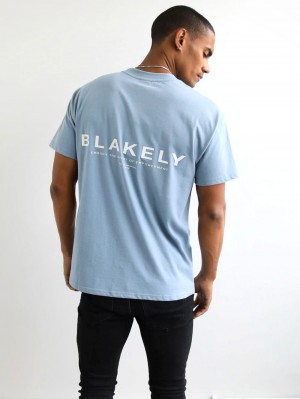 Blakely Statement Relaxed T-Shirt Niebieskie | 294180-XON